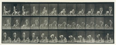 Locomoción animal. Una investigación electro-fotográfica de fases consecutivas del animal... de Eadweard Muybridge