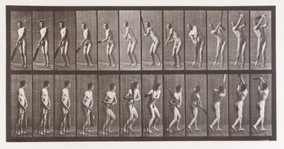 Locomoción animal. Una investigación electro-fotográfica de fases consecutivas de animales de Eadweard Muybridge
