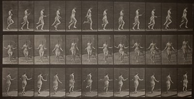 Locomoción animal, Placa 174, 1887 de Eadweard Muybridge