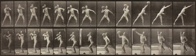 Locomoción animal, Placa 319, 1887 de Eadweard Muybridge