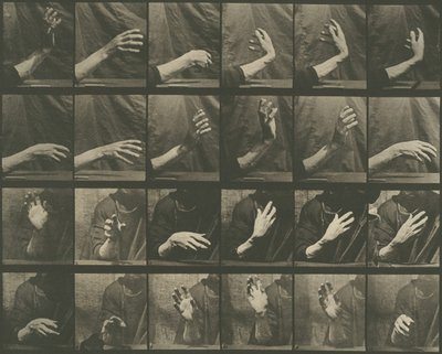 Locomoción animal, Placa 535 de Eadweard Muybridge