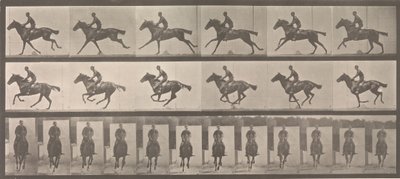 [Caballo y jinete galopando], 1883-86, impreso en 1887 de Eadweard Muybridge