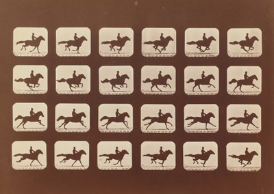 Caballos corriendo. Phyrne L. No. 40, 1879 de Eadweard Muybridge