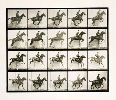 Hombre y caballo saltando una cerca, 1887 de Eadweard Muybridge