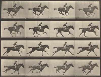 Número de placa 626. Galope, yegua bayá pura sangre, Annie G. de Eadweard Muybridge