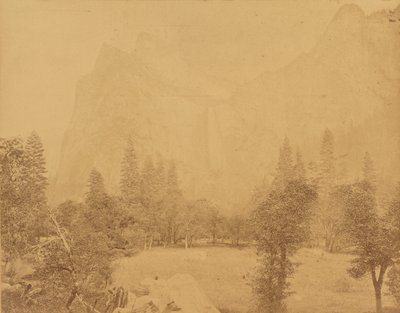 Pohona. Valle del Yosemite. de Eadweard J. Muybridge