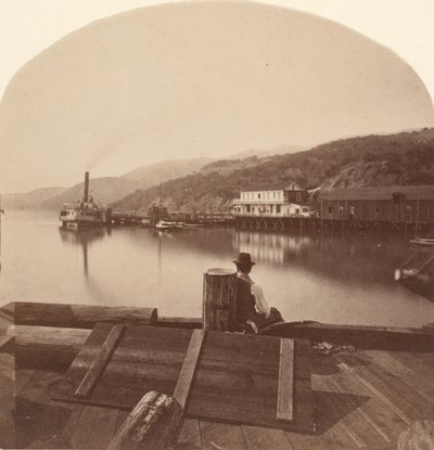Sausalito desde el muelle N.P.C.R.R., mirando al sur de Eadweard Muybridge