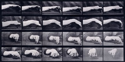 Estudio de movimiento de una mano, c.1872-1885 de Eadweard Muybridge