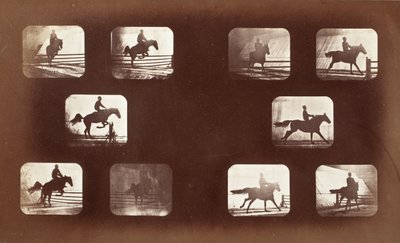 Locomoción animal (hombre a caballo sobre vallas) de Eadweard Muybridge