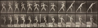 Locomoción Animal, Placa 319, 1887 de Eadweard Muybridge