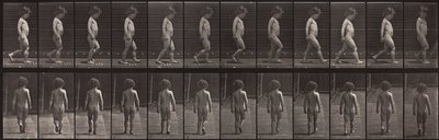 Locomoción animal, Placa 467 de Eadweard Muybridge