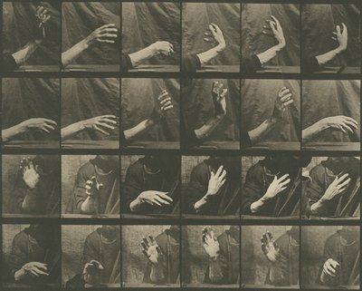 Locomoción animal, Placa 535 de Eadweard Muybridge