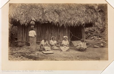 Ocupaciones domésticas de los recolectores de café, Las Nubes, Guatemala de Eadweard Muybridge
