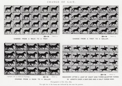 Eadweard Muybridge: Cambio de Andar de Eadweard Muybridge