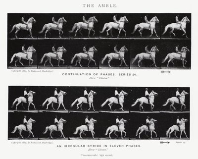 Eadweard Muybridge: El Andar de Eadweard Muybridge