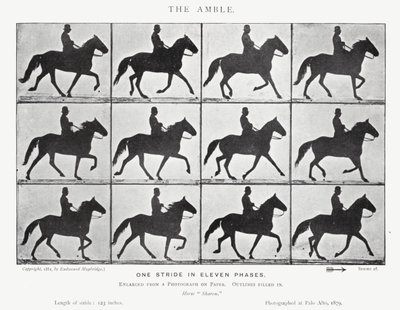 El Paso de Eadweard Muybridge