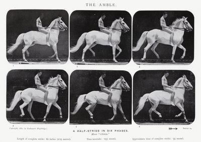 El Paso de Eadweard Muybridge