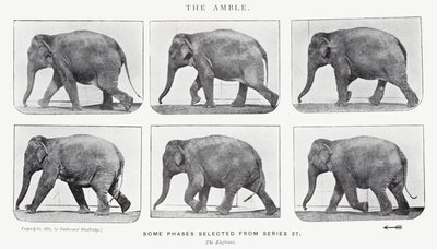 El Paso de Eadweard Muybridge