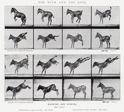 Eadweard Muybridge: La Patada y el Coletazo de Eadweard Muybridge