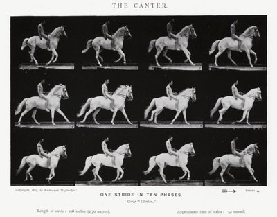 Eadweard Muybridge: El Galope Corto de Eadweard Muybridge