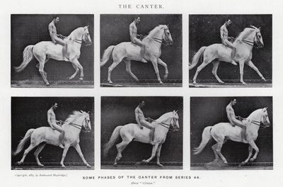 Eadweard Muybridge: El galope (foto en b/n) de Eadweard Muybridge