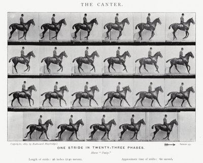 El Galope Corto de Eadweard Muybridge