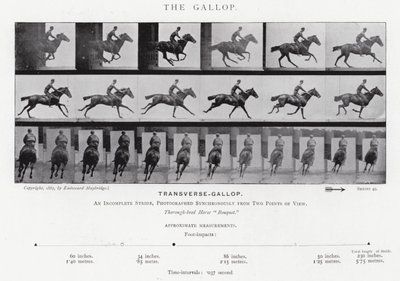 Eadweard Muybridge: El Galope de Eadweard Muybridge