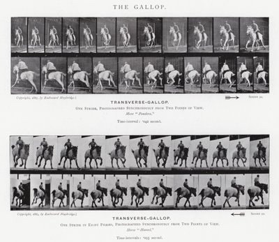 Eadweard Muybridge: El Galope de Eadweard Muybridge