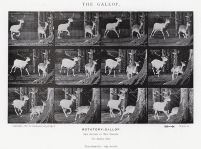 Eadweard Muybridge: El Galope de Eadweard Muybridge