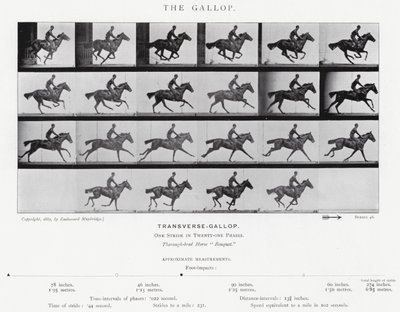 Eadweard Muybridge: El Galope de Eadweard Muybridge