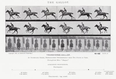 Eadweard Muybridge: El galope (foto en b/n) de Eadweard Muybridge