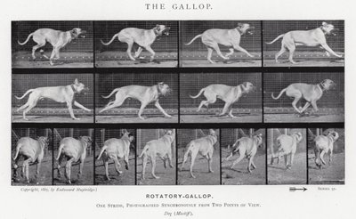 El Galope de Eadweard Muybridge