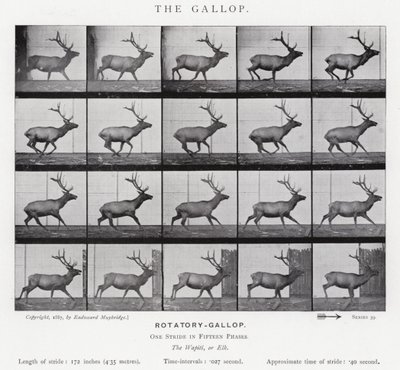 El Galope de Eadweard Muybridge