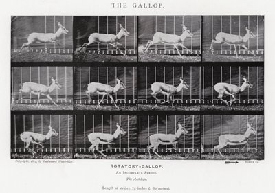 El Galope de Eadweard Muybridge