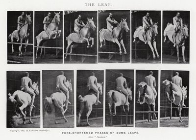 Eadweard Muybridge: El Salto de Eadweard Muybridge