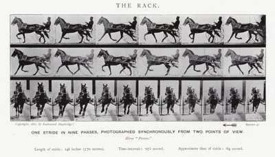 Eadweard Muybridge: El Galope Largo de Eadweard Muybridge