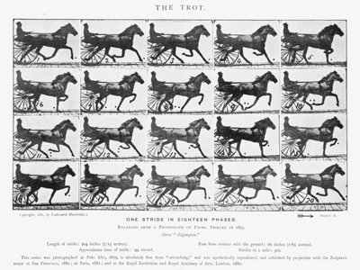 Eadweard Muybridge: El Trote de Eadweard Muybridge