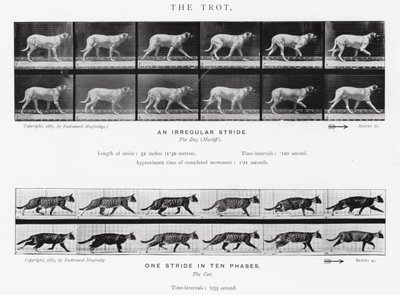 Eadweard Muybridge: El Trote de Eadweard Muybridge