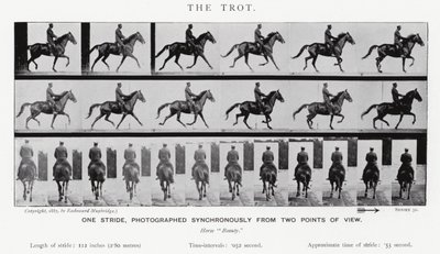El Trote de Eadweard Muybridge