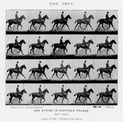 El Trote de Eadweard Muybridge