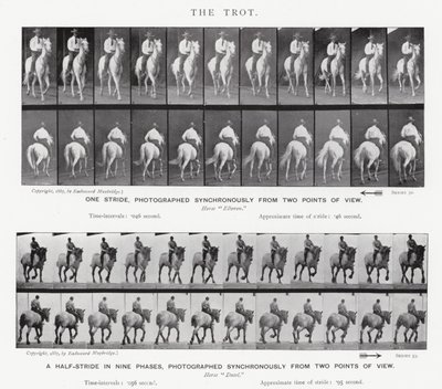 El Trote de Eadweard Muybridge