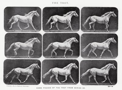 El Trote de Eadweard Muybridge