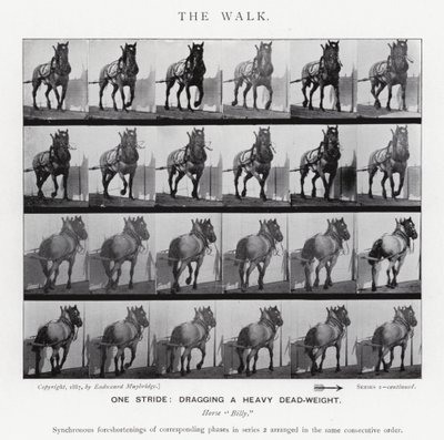 Eadweard Muybridge: El Paseo de Eadweard Muybridge