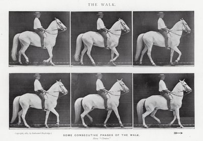 Eadweard Muybridge: El Paseo de Eadweard Muybridge