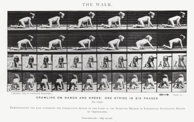 Eadweard Muybridge: El Paseo de Eadweard Muybridge