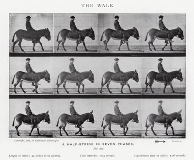 Eadweard Muybridge: El Paseo de Eadweard Muybridge