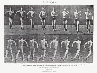Eadweard Muybridge: El Paseo de Eadweard Muybridge