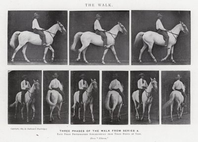 Eadweard Muybridge: La Caminata de Eadweard Muybridge