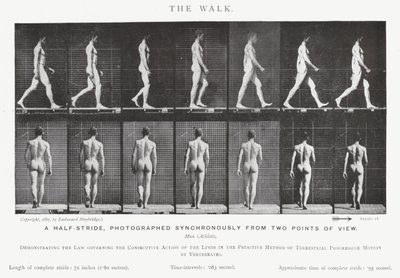 Eadweard Muybridge: La Caminata de Eadweard Muybridge