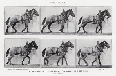 El Paseo de Eadweard Muybridge